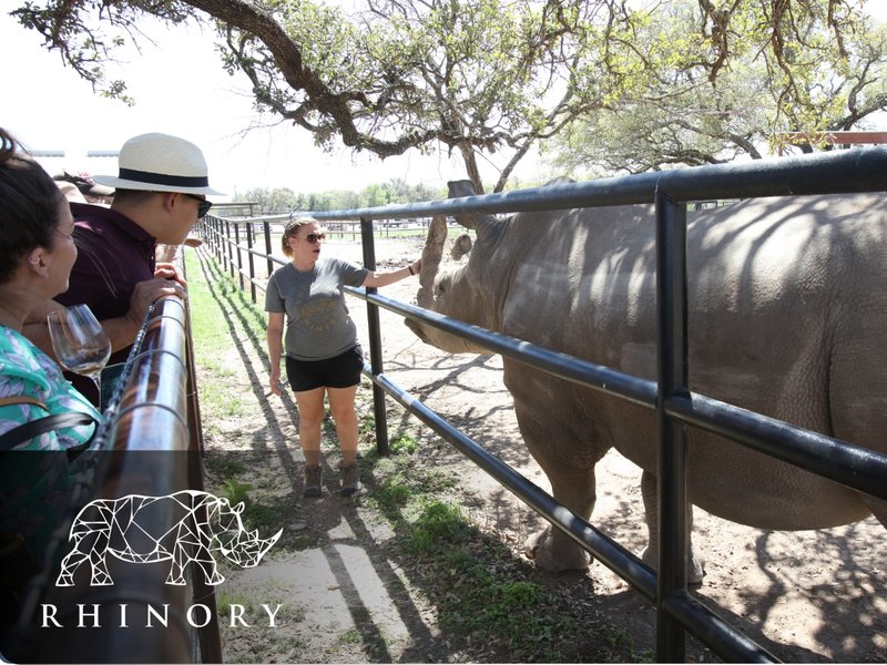 SmartStrand - Rhino test | Rhino approved