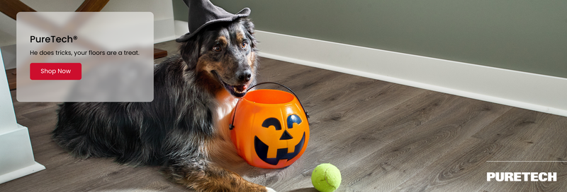 PureTech Banner 05 2025